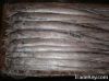alaska pollock fish