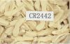 chloroprene rubber 244