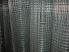 galvanized welded wire mesh  