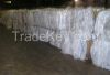 LDPE Film scrap