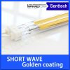 Short wave infrared he...
