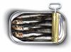 Sardines