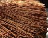 Cinnamon stick