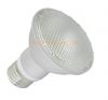 LED Par lights Par 20/Par 30/Par38 with CE&RoHs