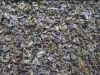 The whole tea leaves gunpowder green tea China green tea 9475