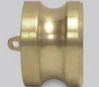 Brass Camlock Couplings 