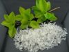 Ammonium Sulfate