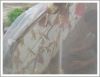 100% New HDPE Anti Ins...
