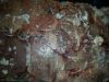 EMU MEAT