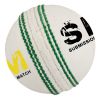 Cricket ball in leather with Branding logo