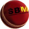 Cricket ball in leather with Branding logo