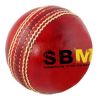 Cricket ball in leather with Branding logo