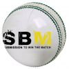 Cricket ball in leather with Branding logo