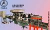 linear weighing type f...
