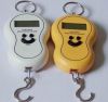 Portable Hanging Scale...