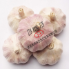2013 High Quality Fres...