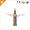 Bare Conductor (AAC/AC...