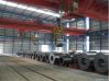 Overhead Crane with Ho...