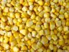 IQF sweet corn kernels