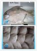 Frozen golden pomfret/red pomfret/white pomfret/black pomfret