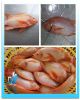 Frozen black tilapia/red tilapia  whole round