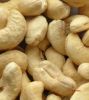 W240 Cashew Nuts Suppl...