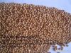 Glutunous broom corn (...