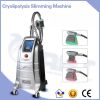 Cryolipolysis Fat Free...