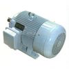 Y-Series Motor