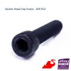 socket head cap screw ...