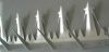 Wall Spikes made from stainless steel or galvanized steel plate