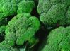 Broccoli extract