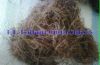 Dried Gracilaria Ferrucosa