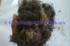 Dried Gracilaria Ferrucosa