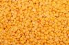 green lentils importer...