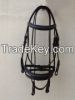 Horse Bridle