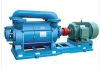 Single Grade Water Loop Pump used for Food Industry Vacuum Impregnation Process