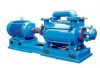 Single Grade Water Loop Pump used for Food Industry Vacuum Impregnation Process