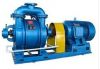 Single Grade Water Loop Pump used for Food Industry Vacuum Impregnation Process