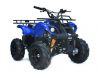 ATV/ Quad Bike/ Farm ATV with Free Shipping