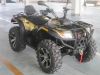 ATV/ Quad Bike/ Farm ATV with Free Shipping