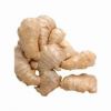 Ginger Extract