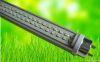 T8 LED tube lights 20w