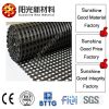 Polyester geogrid with...