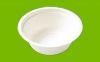 Sugarcane Bagasse Tableware