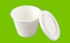 Disposable Bagasse Tableware