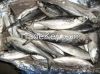 FROZEN FISH and FRESH ...