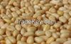 PINE NUTS, COCONUT, KO...
