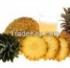 Aseptic pineapple juice concentrate high quality