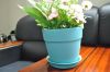 Cheap Durable Indoor F...